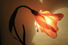 Tafellamp ,Sfeerlampen, Kunstig-licht  Sfeerlamp , Lichtobject sfeerverlichting verlichting designlamp
